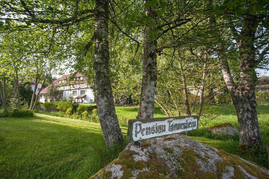 Pension Tannenheim Schluchsee Ngoại thất bức ảnh