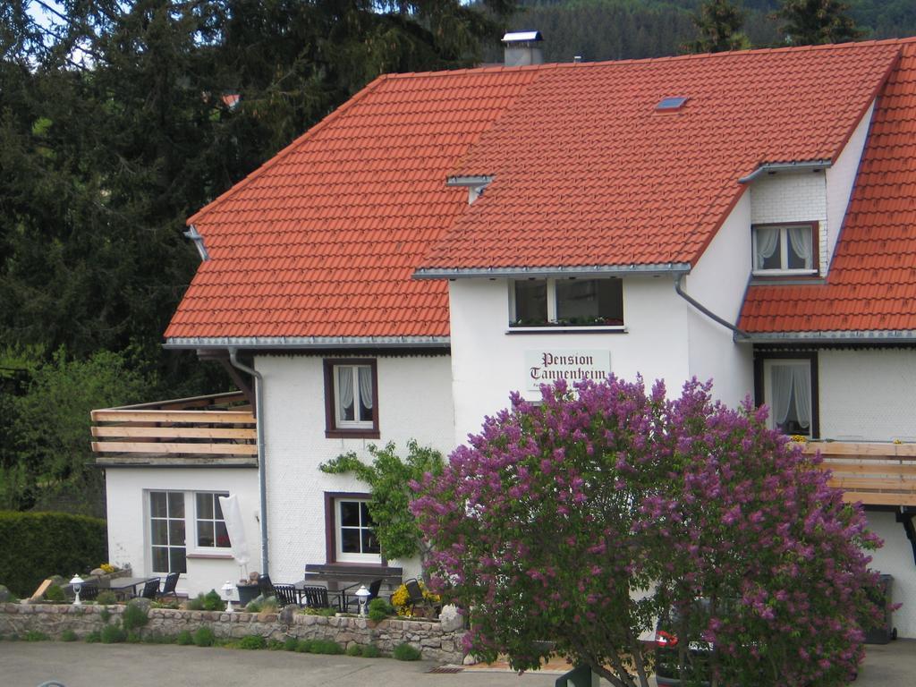 Pension Tannenheim Schluchsee Ngoại thất bức ảnh